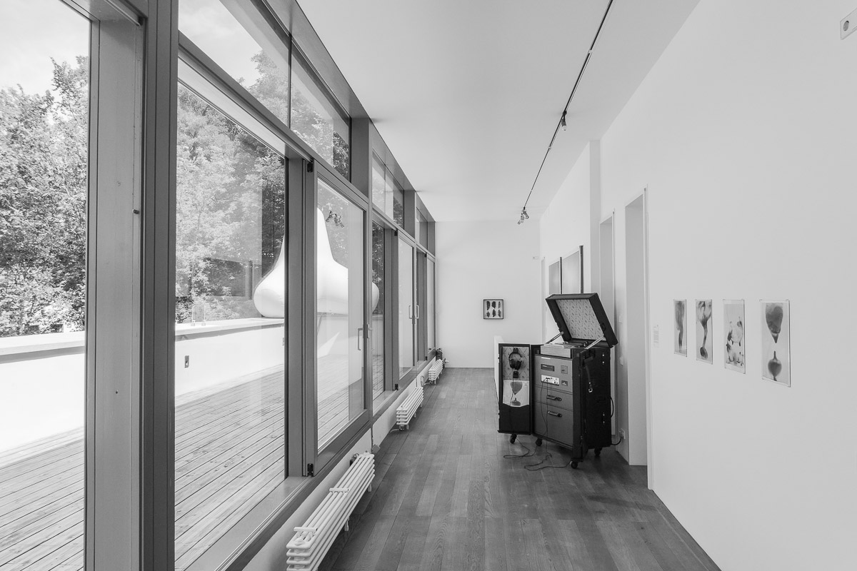 Stephan-Redel-028-1017-03170