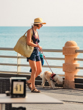 Spiaggia di Bordighera, Marina Beach, Bordighera