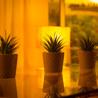 Liberty Hotel, Lobby & Bar