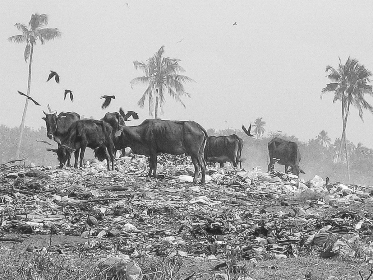 Sri Lanka