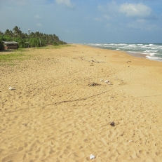 Sri Lanka