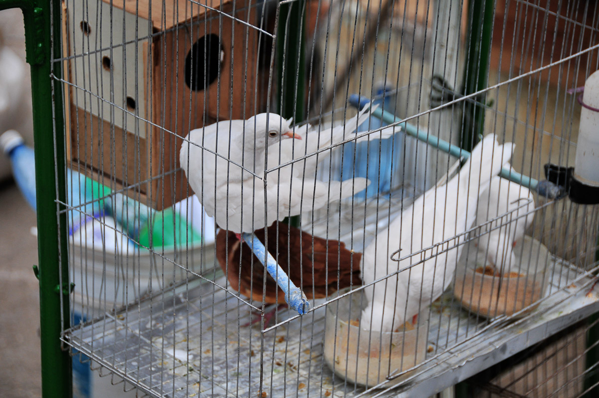 La Habana Vieja, Cuba