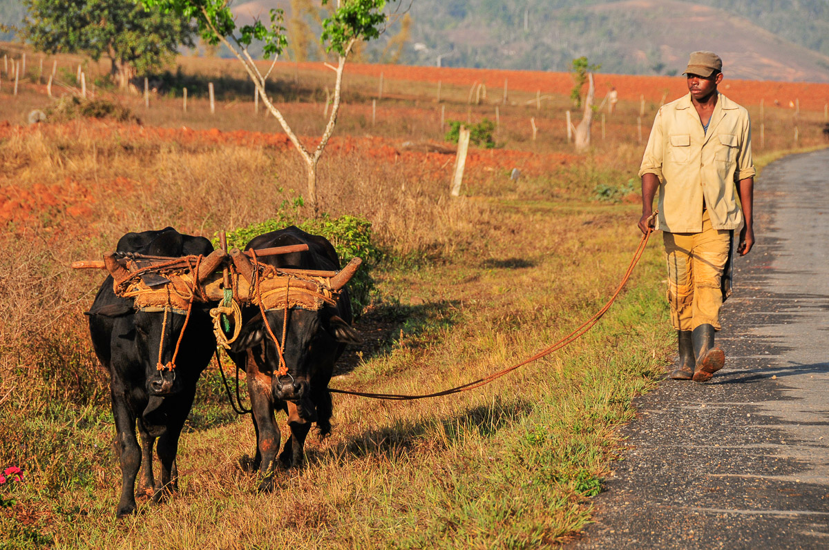 Valle de Vinales, Cuba
