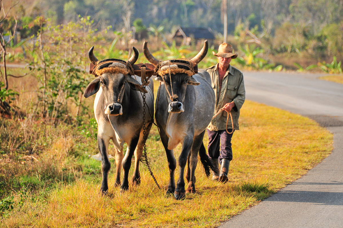 Valle de Vinales, Cuba