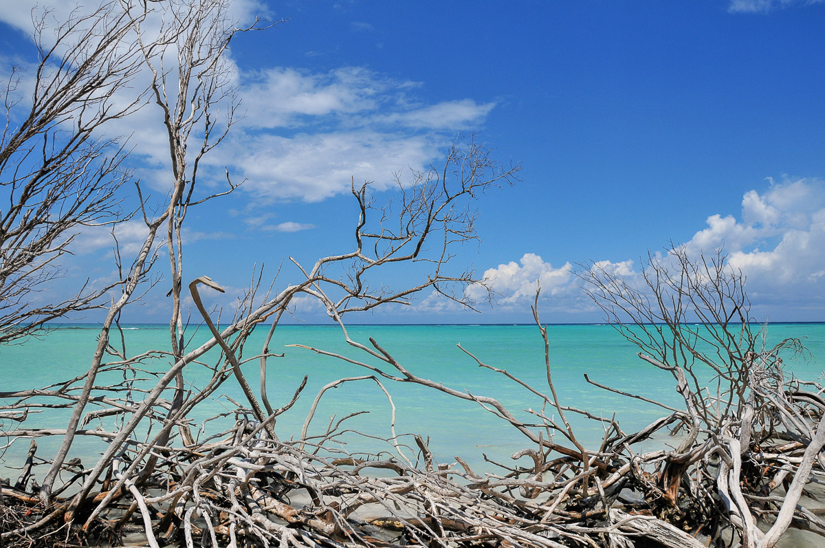 Cayo Jutias, Cuba