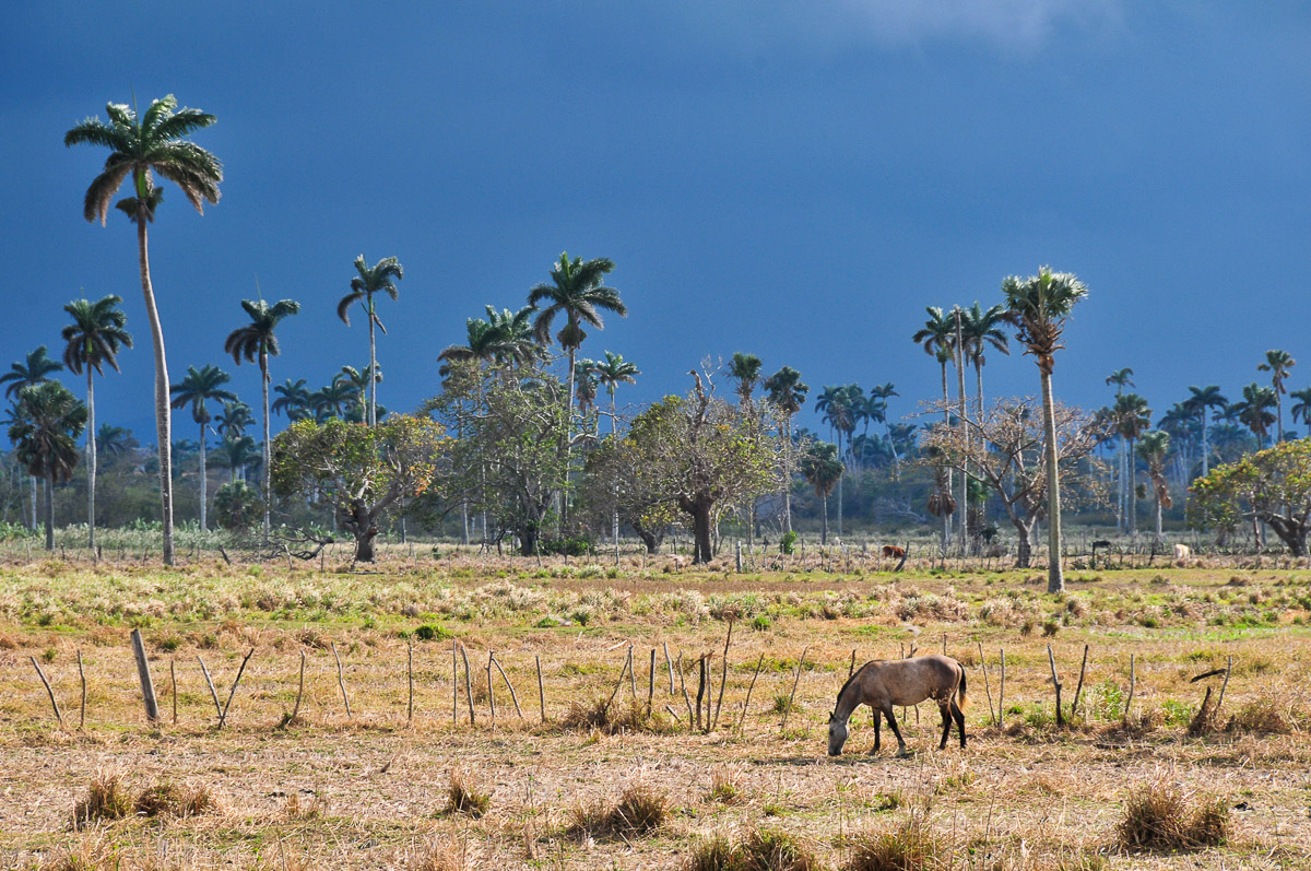 Vinales, Cuba