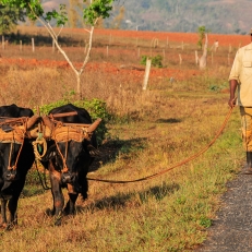 Valle de Vinales, Cuba