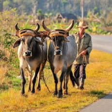 Valle de Vinales, Cuba