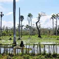 Cayo Jutias, Cuba