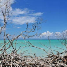 Cayo Jutias, Cuba