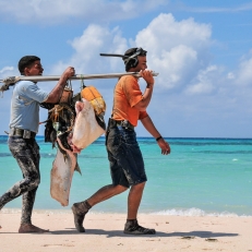 Cayo Jutias, Cuba