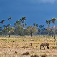 Vinales, Cuba