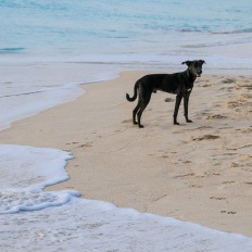 Darkwood Beach, Antigua and Barbuda