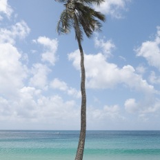 Morris Bay, Antigua and Barbuda