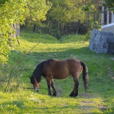 Viscri (Deutschweisskirch), Rumaenien