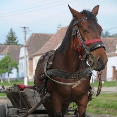 Viscri (Deutschweisskirch), Rumaenien