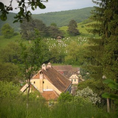 Apfelbluetenfest in Malancrav (Malmkrog), Rumaenien