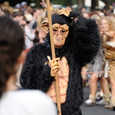 Karneval der Kulturen Berlin