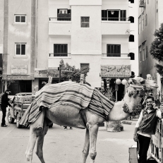 Hurghada, Egypt