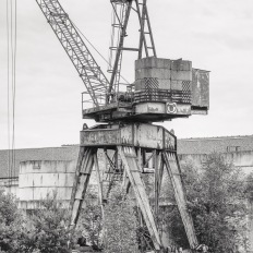 StephanRedel-059-496-0184