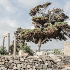 Byblos