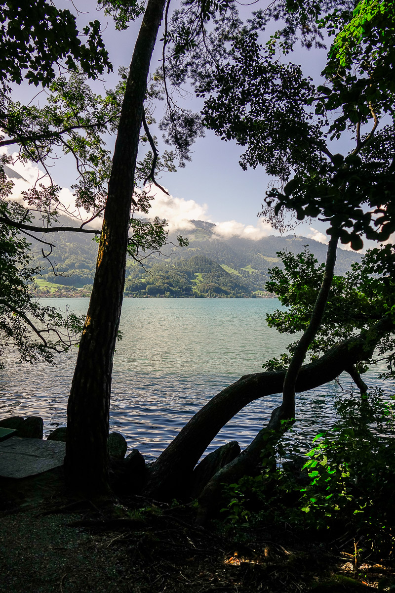 Neuhaus, Thuner See