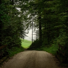 Weiermoos, Berner Oberland