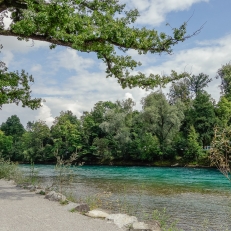 Dählhölzli