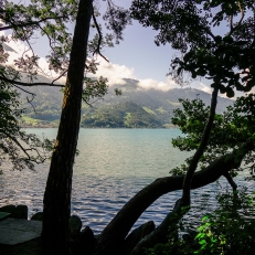 Neuhaus, Thuner See