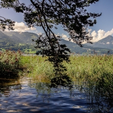 Neuhaus, Thuner See