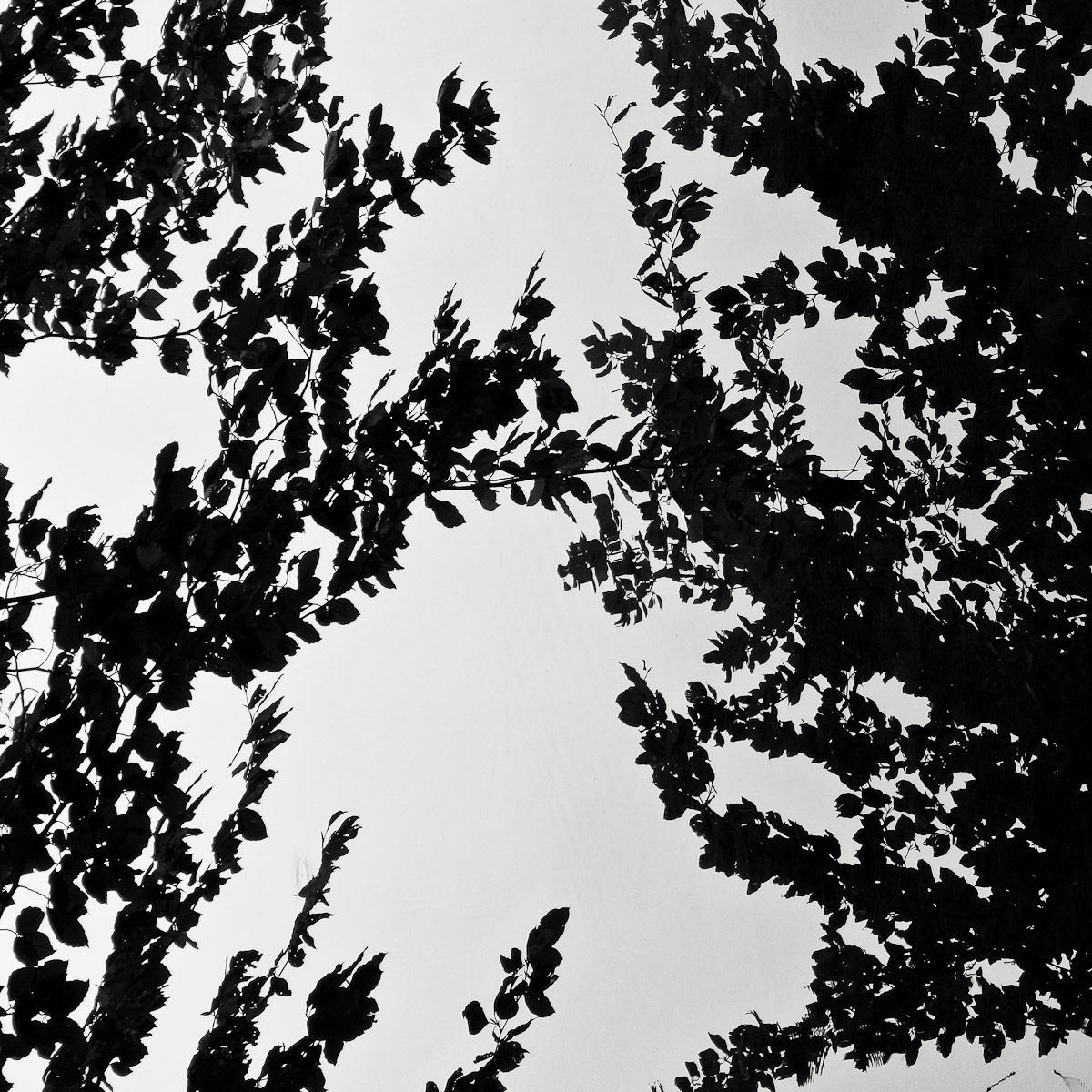 Blautopf