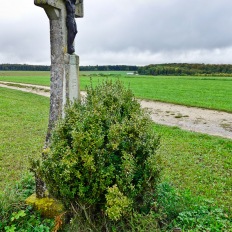 Hausen