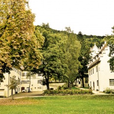 Urspring