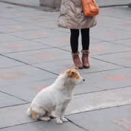 China, Chongqing