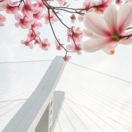 China, Shanghai, Nanpu Bridge