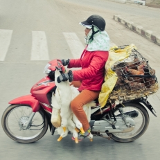 Vietnam, Hanoi - Hoi An
