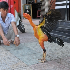 Vietnam, Nha Trang