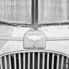 Strada Provinciale 50