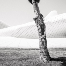 Baku, Heydar Aliyev Center