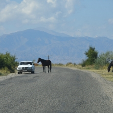 Von Jeti-Oguz nach Ton, Kirgistan