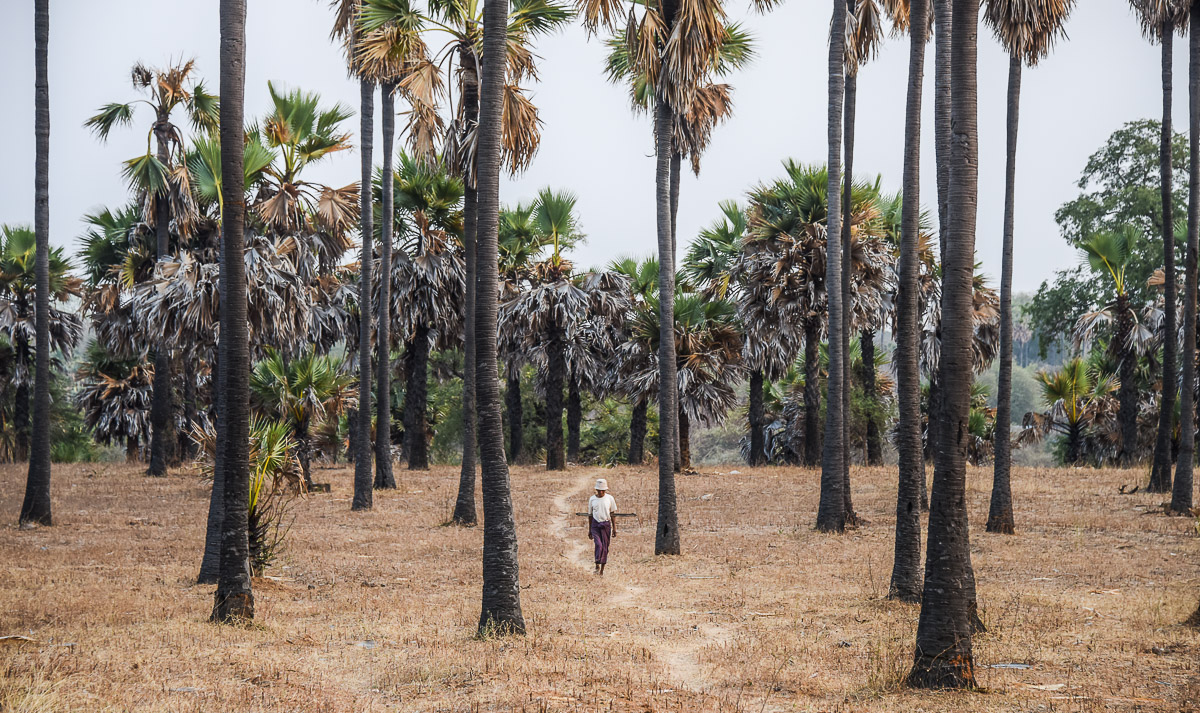 Myanmar