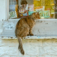 Tiraspol, Transnistria