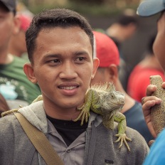 Jakarta, Car Free Day