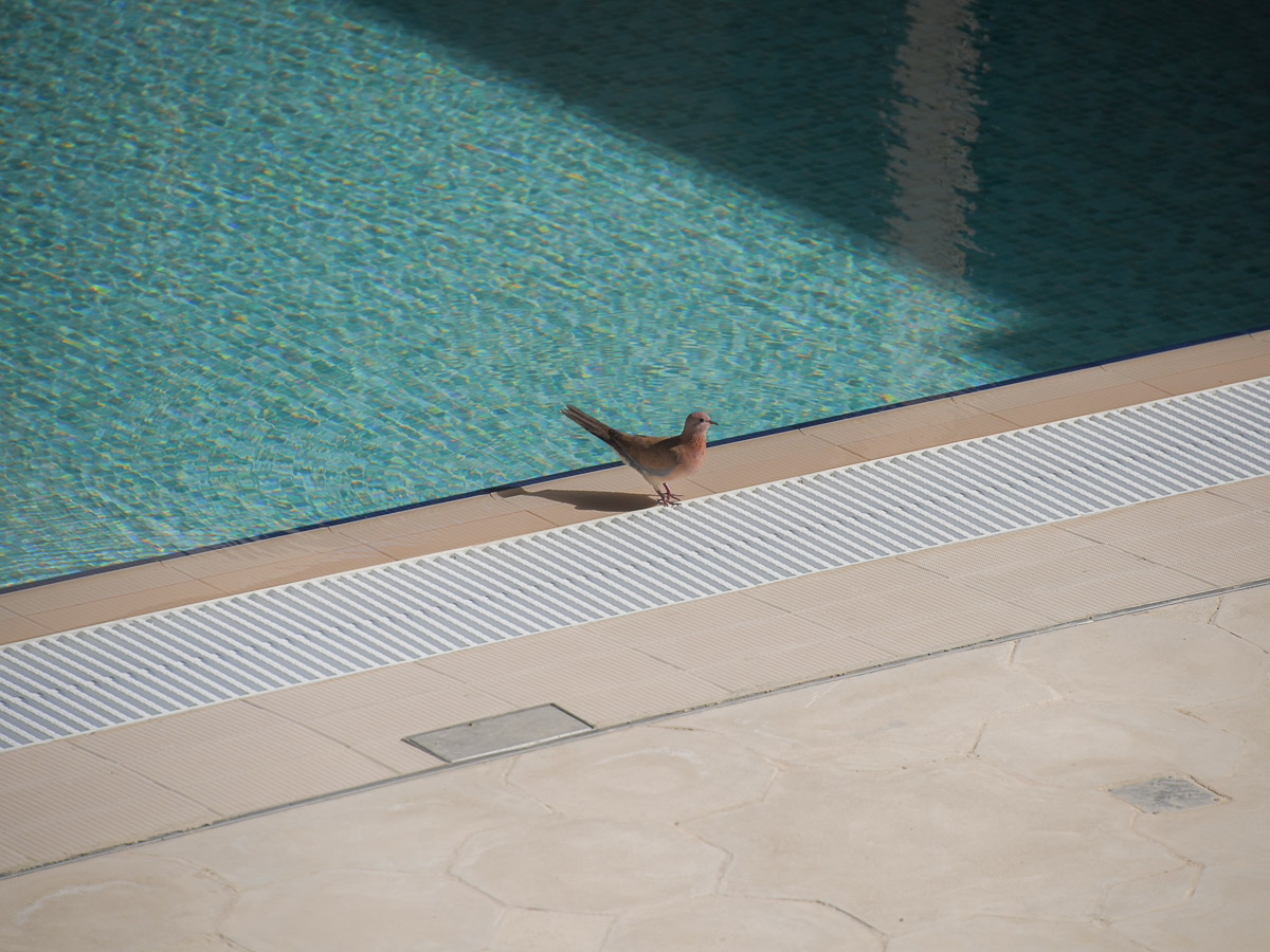 Abu Dhabi, Masdar Sustainable City