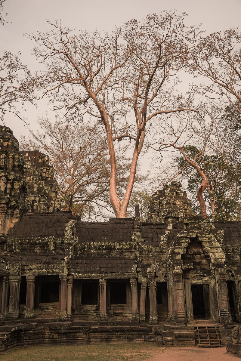 Siem Reap, Angkor Wat, Cambodia