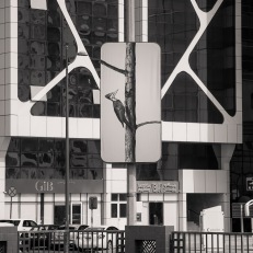Abu Dhabi