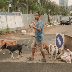 Jakarta