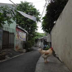 Jakarta