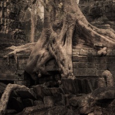 Siem Reap, Angkor Wat, Cambodia