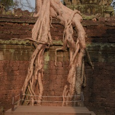 Siem Reap, Angkor Wat, Cambodia